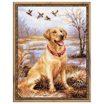 Riolis Borduurpakket Labrador