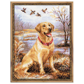 Embroidery kit Labrador