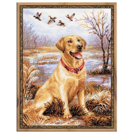 Riolis Kit de broderie Labrador