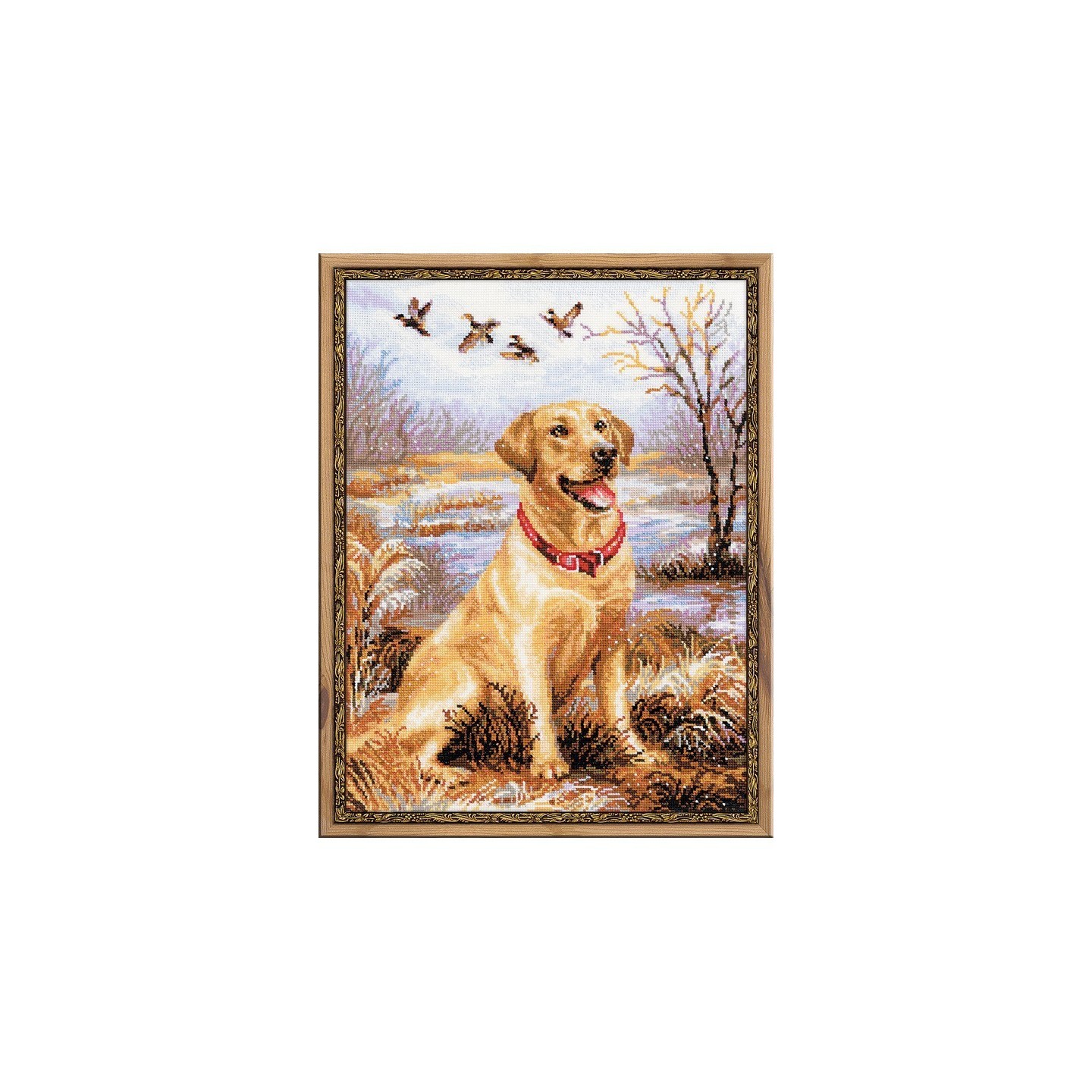 Riolis Kit de broderie Labrador