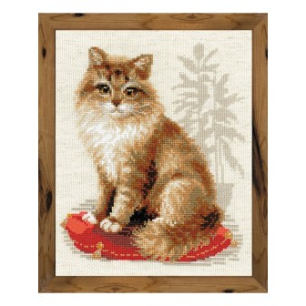 Riolis Borduurpakket Kat