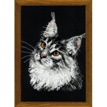 Riolis Kit de broderie Coon Maine