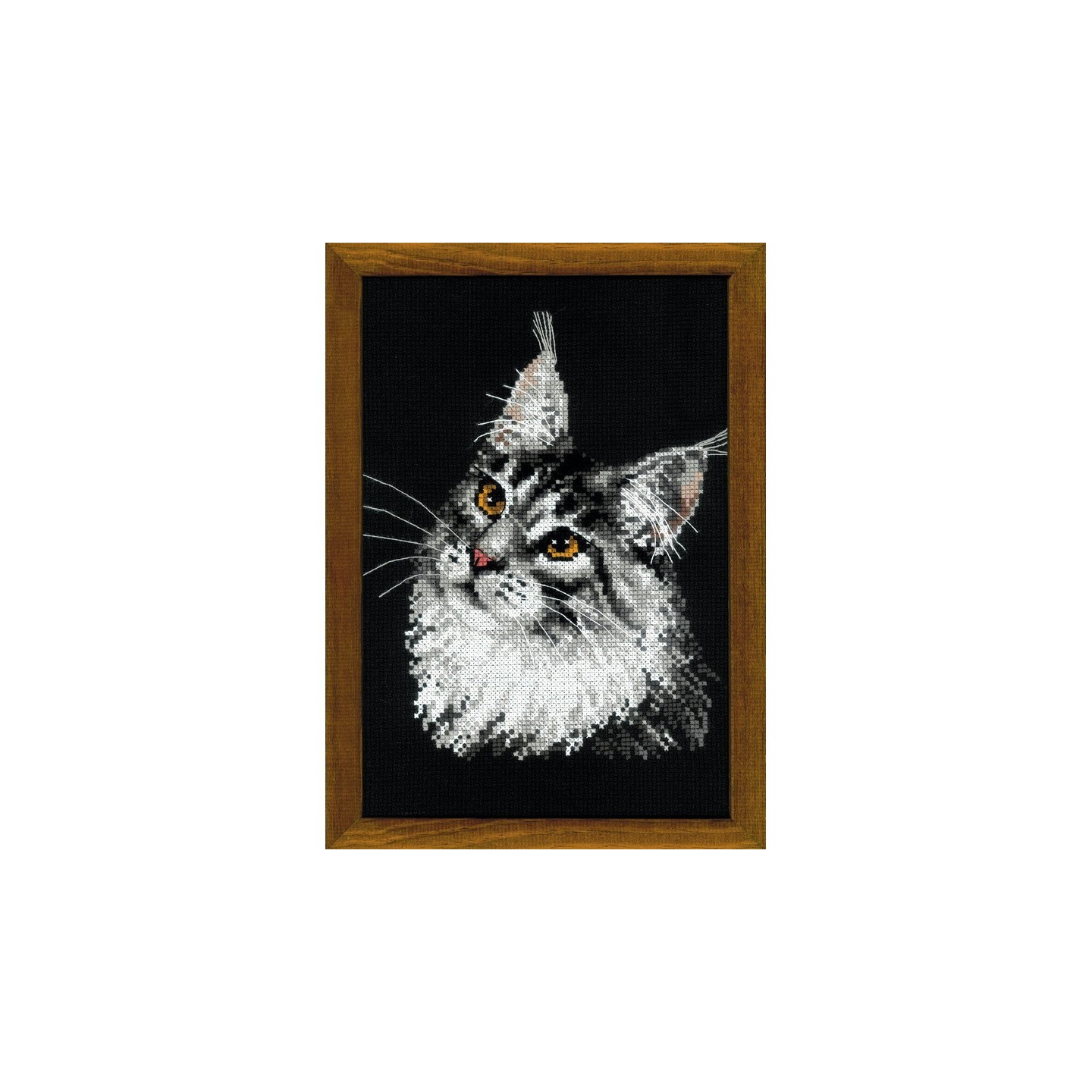 Riolis Borduurpakket Maine Coon