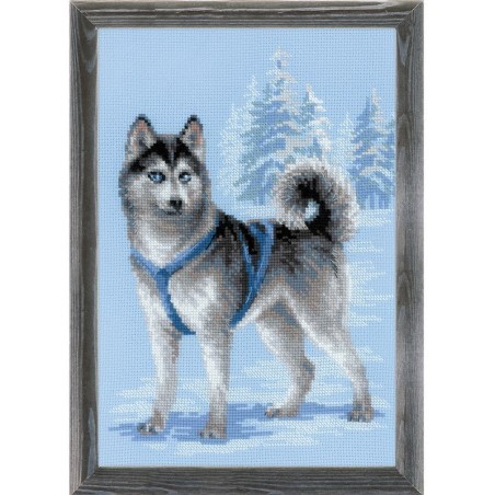 Riolis Borduurpakket Husky