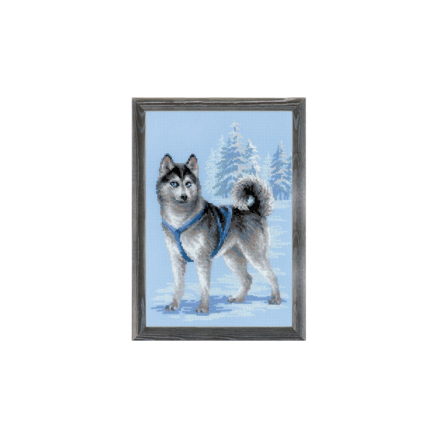 Riolis Borduurpakket Husky
