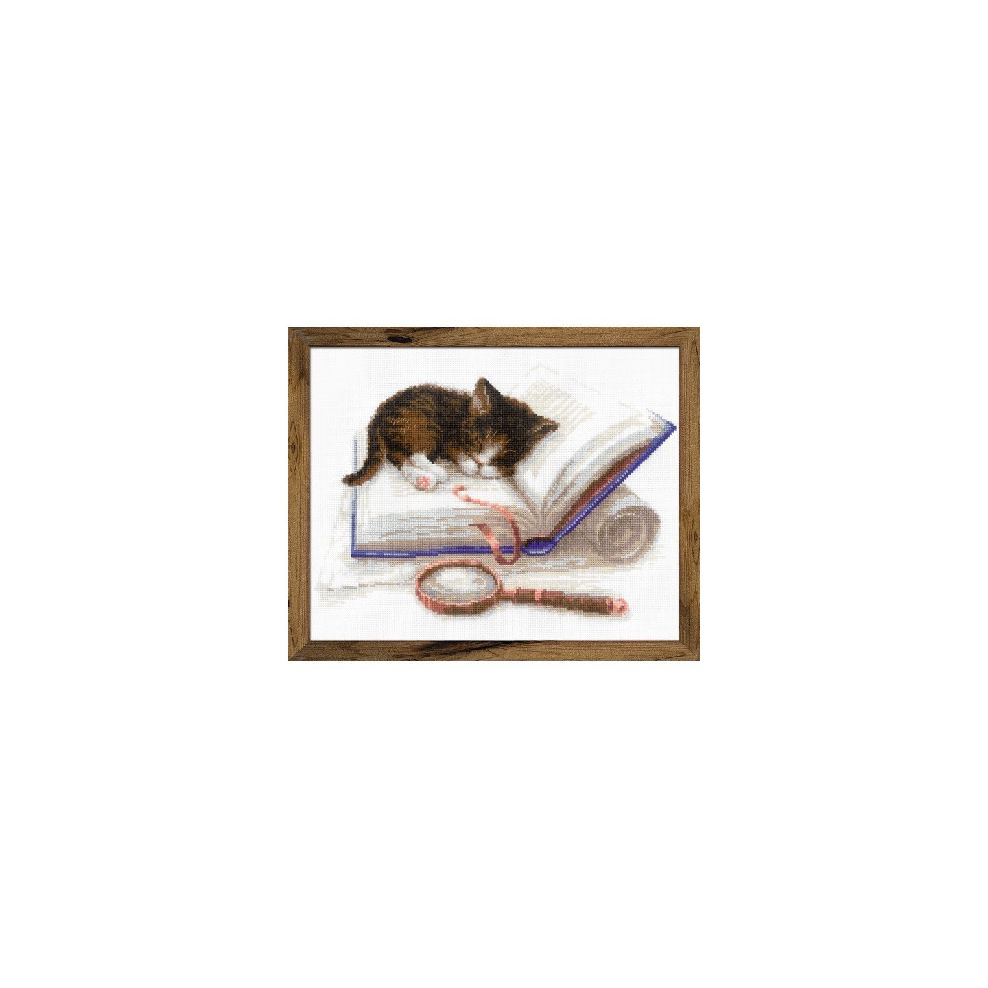 Riolis Borduurpakket Kitten op het boek