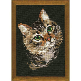 Riolis Stickset Graue Katze
