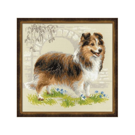 Riolis Borduurpakket Sheltie