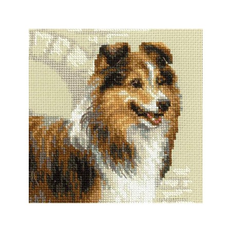 Kit de broderie Sheltie