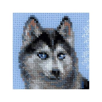 Riolis Kit de broderie Husky