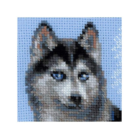 Stickset Husky Stickset Husky