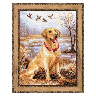 Riolis Stickset Labrador