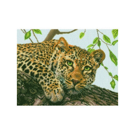 CDA Printed Aida kit Leopard
