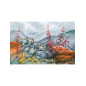 Stickset Wunderbarer Norden 1 Stickset Wunderbarer Norden 1