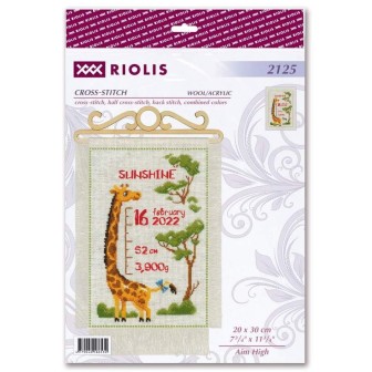 Riolis Borduurpakket Aim High