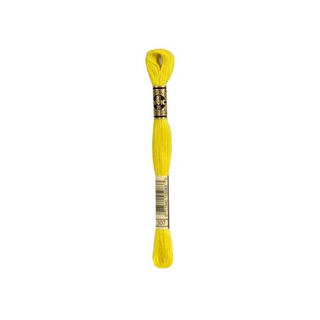 borduurgaren DMC Mouliné 307