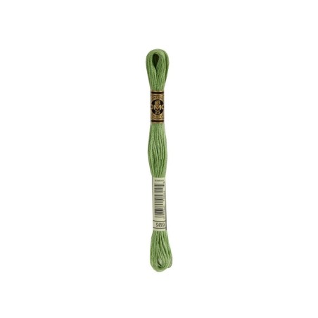 borduurgaren DMC Mouliné 989