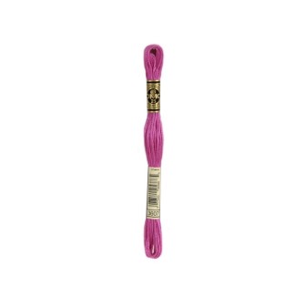 borduurgaren DMC Mouliné 3607