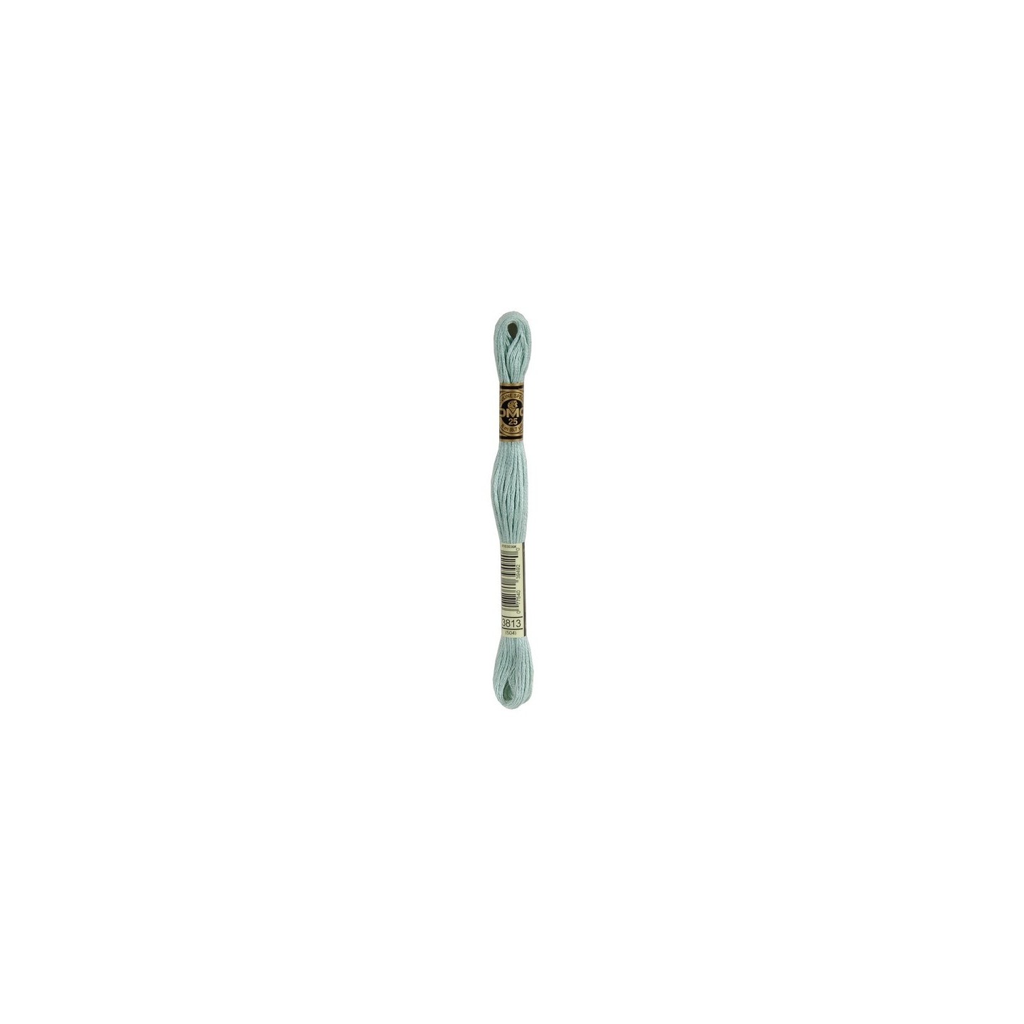 borduurgaren DMC Mouliné 3813