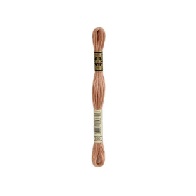 borduurgaren DMC Mouliné 3064