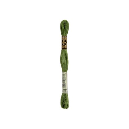 borduurgaren DMC Mouliné 3346