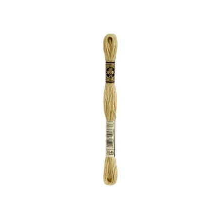 borduurgaren DMC Mouliné 3046