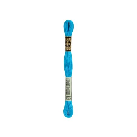 borduurgaren DMC Mouliné 3845