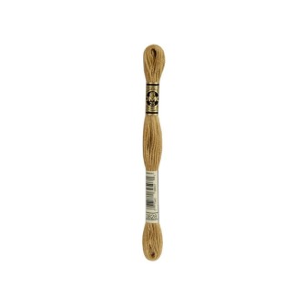 borduurgaren DMC Mouliné 3828
