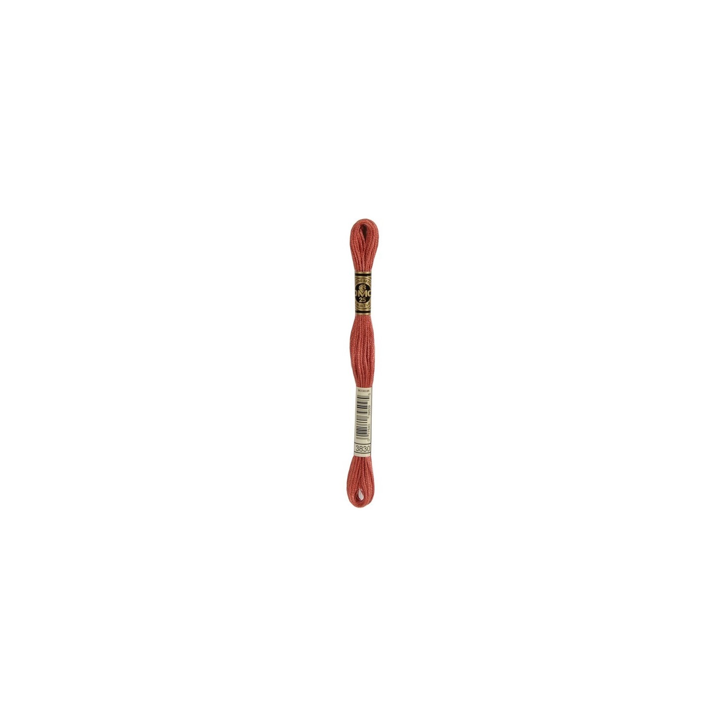 borduurgaren DMC Mouliné 3830