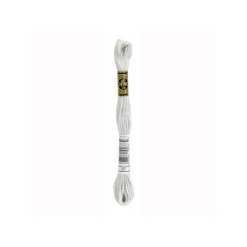 Fil de broderie DMC Mouliné Spécial 01