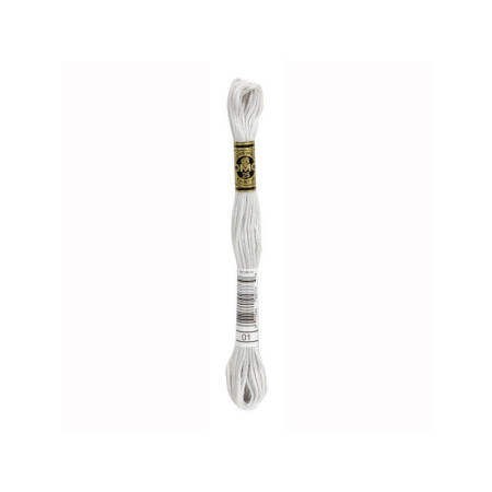 Fil de broderie DMC Mouliné Spécial 01