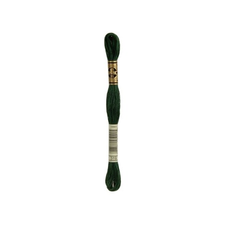 borduurgaren DMC Mouliné 319