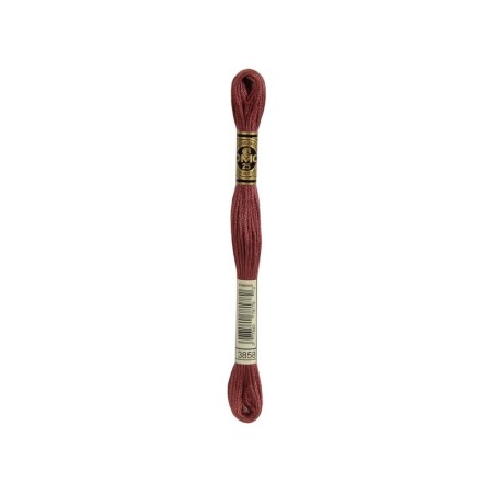 borduurgaren DMC Mouliné 3858