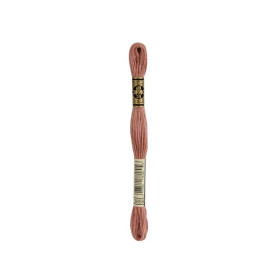 borduurgaren DMC Mouliné 3859