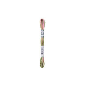 DMC Mouliné Coloris 4500