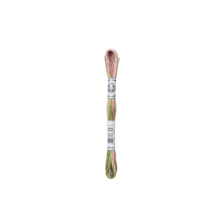 DMC Mouliné Coloris 4500