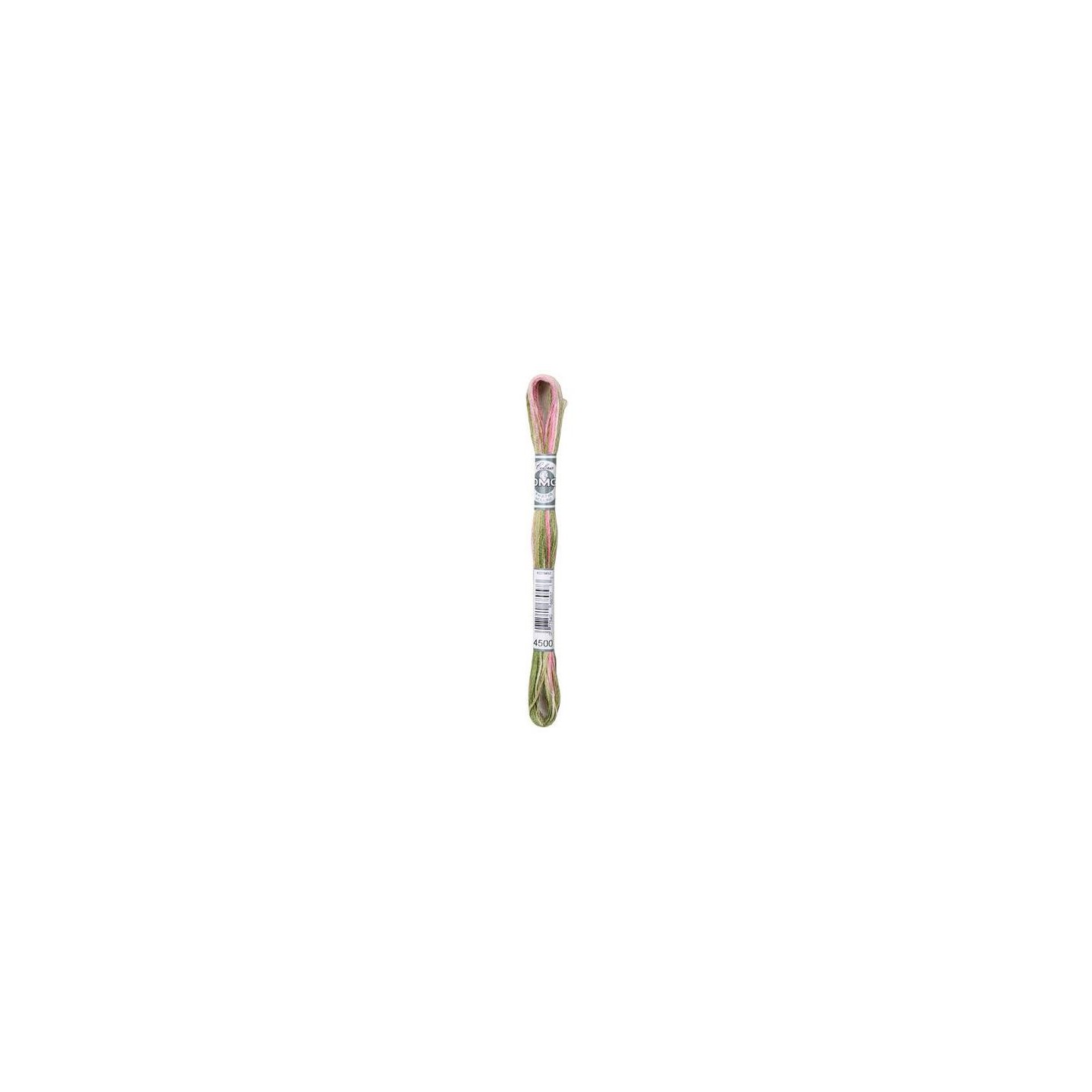 DMC Mouliné Coloris 4500
