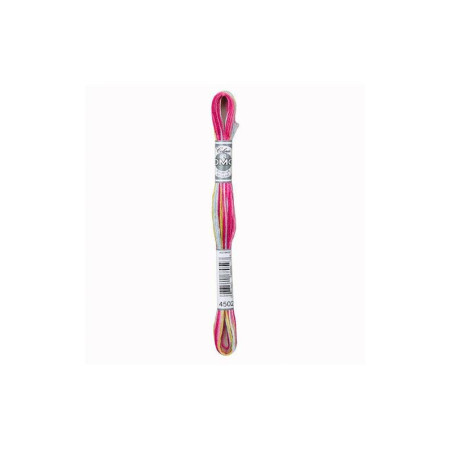 DMC Mouliné Coloris 4502
