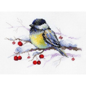 Aquarelle Embroidery kit Pensive tit