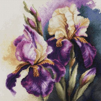Luca-S Stickset Iris Burgemeister