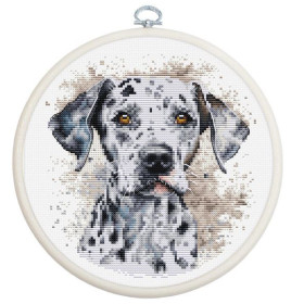 Luca-S Borduurpakket Dalmatiër