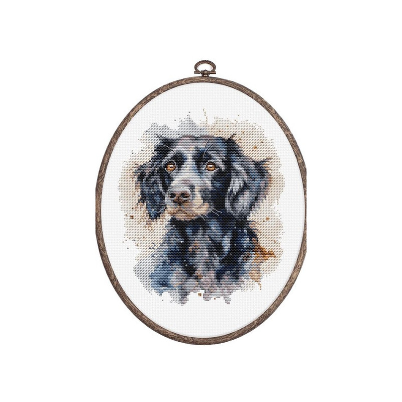 Stickset Border Collie