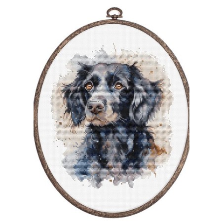 Luca-S Embroidery kit Border Collie
