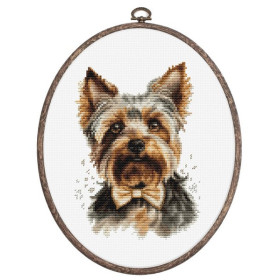 Luca-S Stickset Yorkshire Terrier