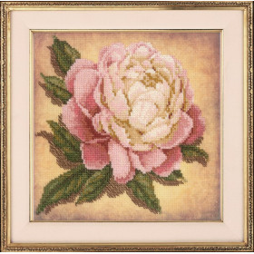 Riolis Kit de broderie Pivoine