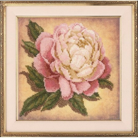 Riolis Kit de broderie Pivoine