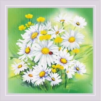 Riolis Borduurpakket Kamillebloemen