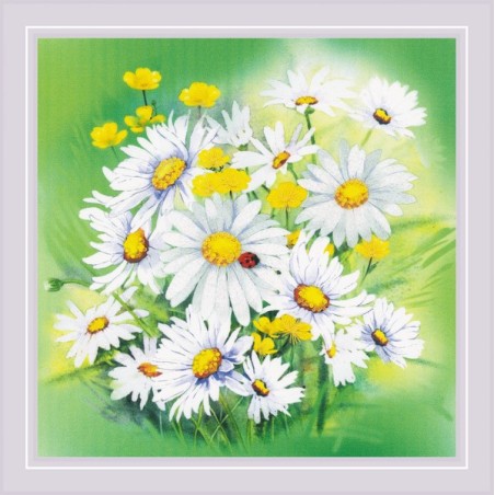 Riolis Borduurpakket Kamillebloemen