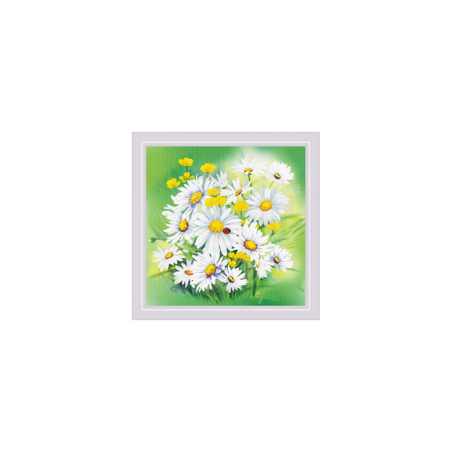 Riolis Borduurpakket Kamillebloemen
