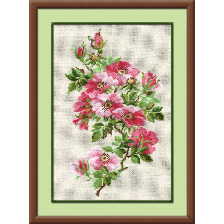 Riolis Kit de broderie Rose sauvage de mai